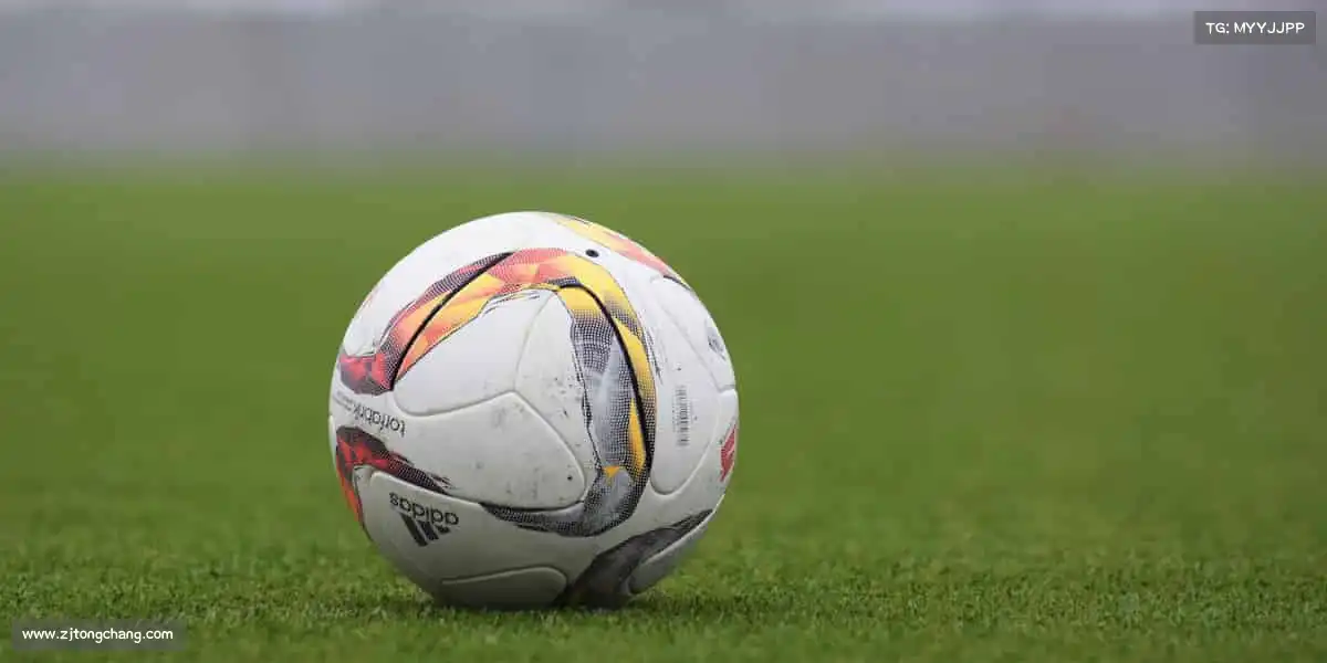 我们的核心竞争力